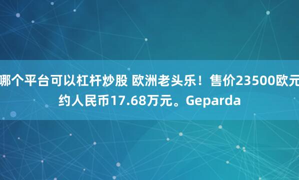 哪个平台可以杠杆炒股 欧洲老头乐！售价23500欧元约人民币17.68万元。Geparda