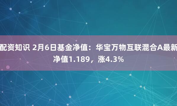 配资知识 2月6日基金净值：华宝万物互联混合A最新净值1.189，涨4.3%