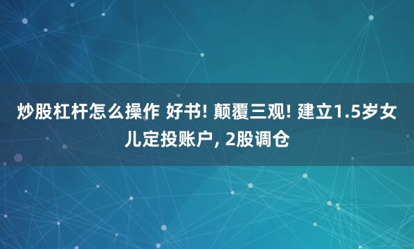 炒股杠杆怎么操作 好书! 颠覆三观! 建立1.5岁女儿定投账户, 2股调仓