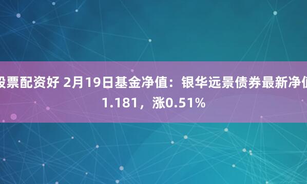 股票配资好 2月19日基金净值：银华远景债券最新净值1.181，涨0.51%