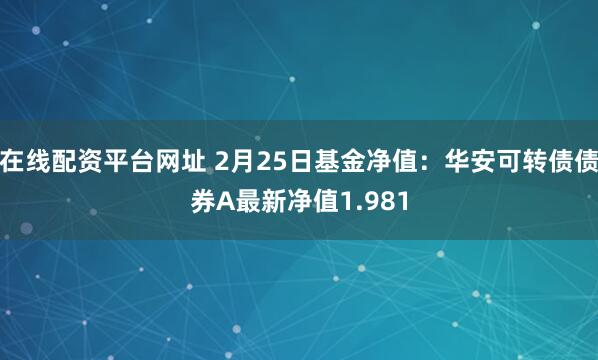 在线配资平台网址 2月25日基金净值：华安可转债债券A最新净值1.981