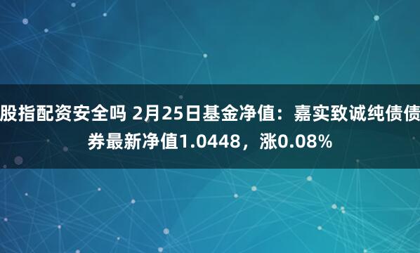 股指配资安全吗 2月25日基金净值：嘉实致诚纯债债券最新净值1.0448，涨0.08%