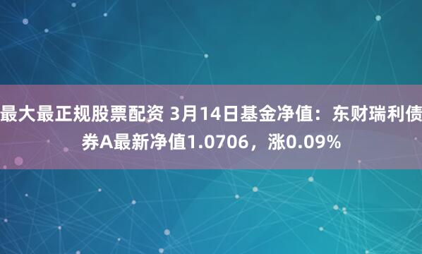 最大最正规股票配资 3月14日基金净值：东财瑞利债券A最新净值1.0706，涨0.09%